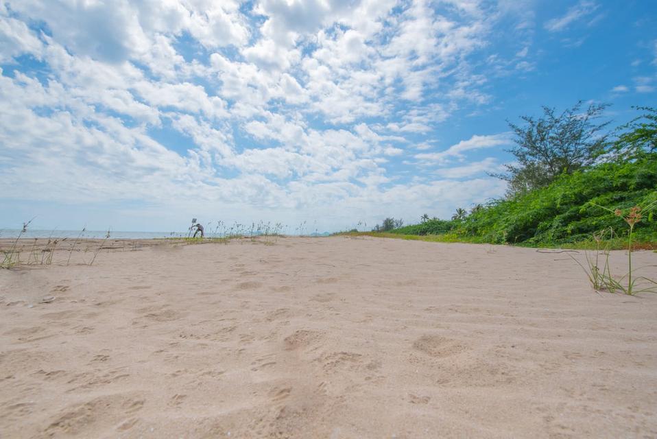 ที่ดินกุยบุรี 2แปลง แปลงละ 287 ตารางเมตร  13