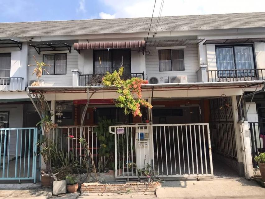 บ้านพฤกษา61