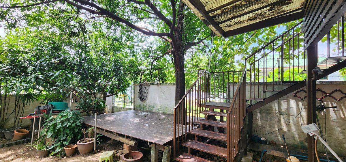 ขายบ้านเดี่ยว 2 ชั้น ม.ศุภาลัยออร์คิดปาร์ค 2 ซ.บางแวก 81 หันหน้าทิศใต้ ใกล้ซีคอนบางแค ถูกสุดในย่านนี้ 11