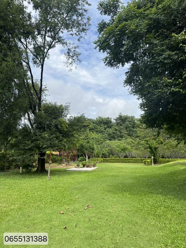 ที่ดินสวยปากช่อง 20 ไร่ พร้อมบ้านพัก ราคา 66 ล้านบาท 2
