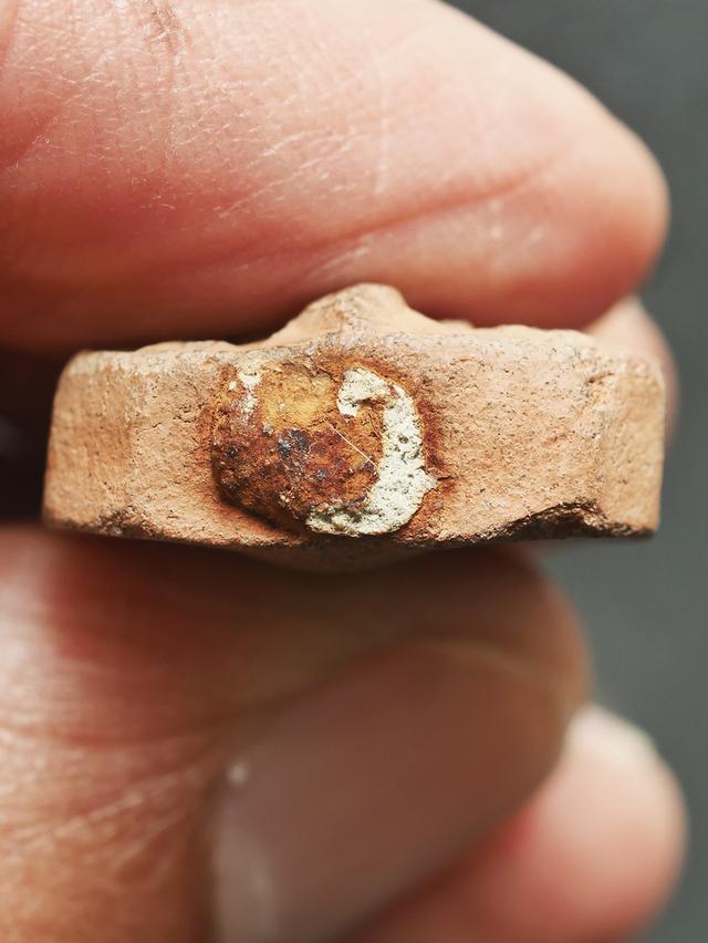 หลวงพ่อปาน วัดบางนมโค พิมพ์ไก่หางพวง....เก่าๆ รูปที่ 12