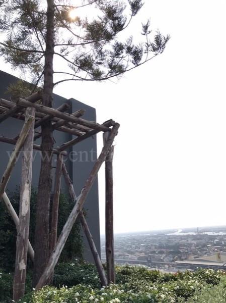 คอนโด นอตติ้ง ฮิลล์ สุขุมวิท-แพรกษา เฟอร์ครบ ใกล้ BTS สถานีแพรกษา 9