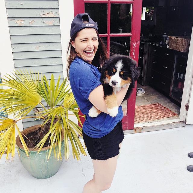 Bernese Mountain Puppies รูปย่อยที่ 2