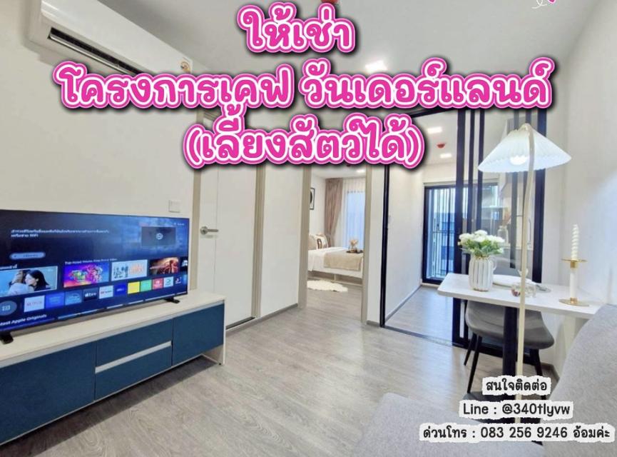 ให้เช่า โครงการเคฟ วันเดอร์แลนด์ 1