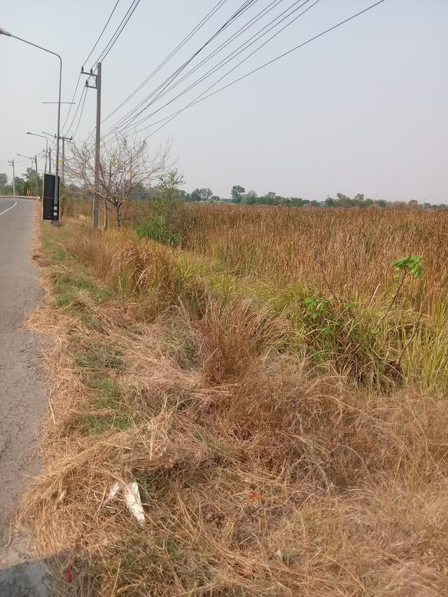 ขายที่ดิน 8 ไร่ 23 ตารางวา 3