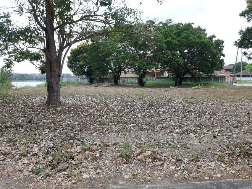 ⛳ขายที่ดินเปล่าเหมาะสำหรับปลูกสร้างบ้าน ในโครงการหมู่บ้านเดอะลากูน1 อำเภอสามโคก จังหวัดปทุมธานี ติดละเลสาป ⛳ 7