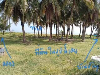 ขาย 3 ล. ที่ติดทะเล 1ไร่ 24วา ติดหาดยาว 67 เมตรอยู่ระโนด สงขลา  5