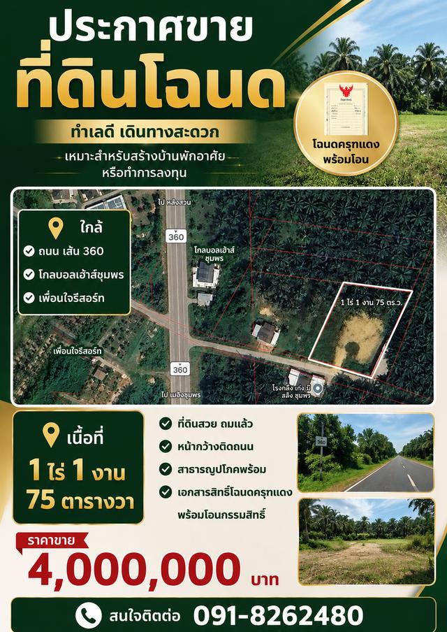 ที่ดินเปล่า ใกล้เมืองชุมพร 1
