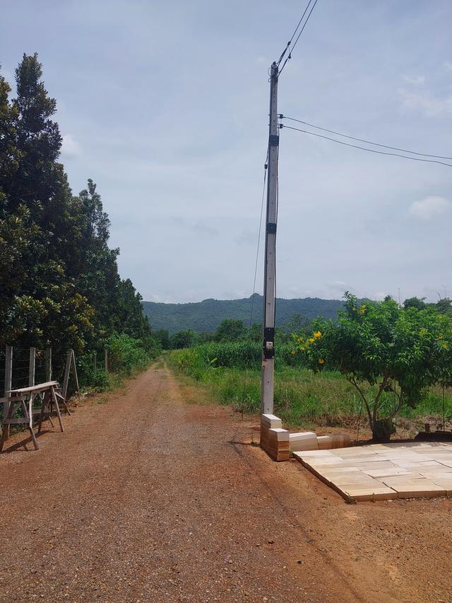 ที่ดิน 8