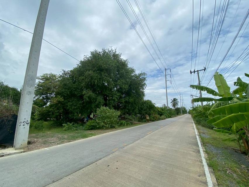ขายที่ดินเปล่า ถนนเลียบคลองขุนศรี ตำบลไทรใหญ่ อำเภอไทรน้อย จังหวัดนนทบุรี 5