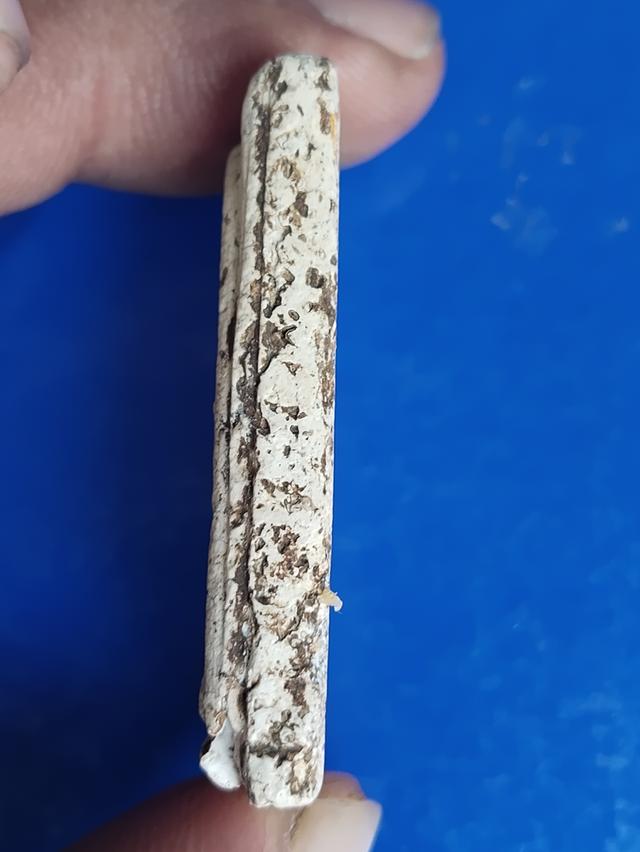 พระสมเด็จฯวัดระฆังพิมใหญ่