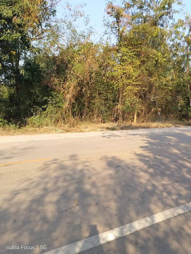 ขายที่ดิน13ไร่(2แปลง) ติดถนนยางโทน จังหวัดราชบุรี 2