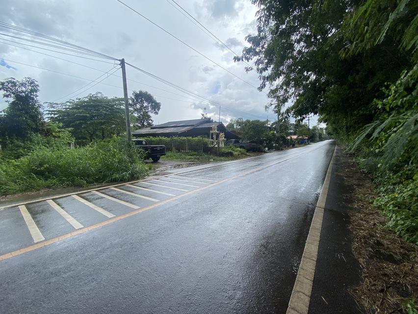 บ้านพร้อมที่ดิน203ตรว. 8
