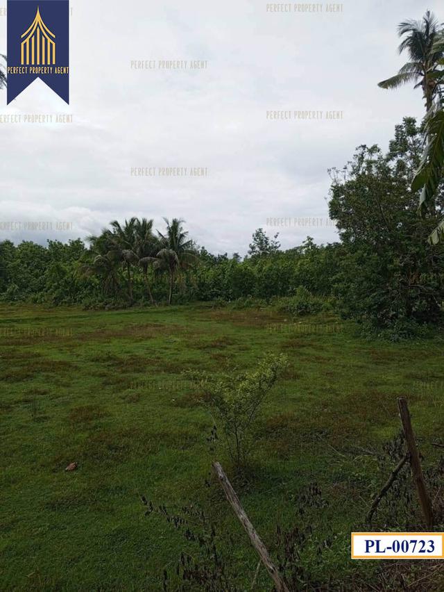 ที่ดิน อำเภอ เถิน จังหวัด ลำปาง 35 ไร่ติดถนนสายเอเชียและแม่น้ำวังพัฒนา 4