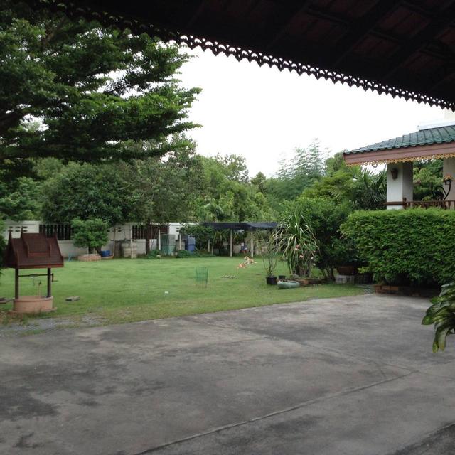 ขายบ้านพร้อมที่ดิน 400 ตรว. 40×40ม. แปลงหัวมุมบ้านปลูกเต็มเนื้อที่ 200 ตรว. สนาม 200 ตรว. (ลงเข็มเจาะไว้บนที่ดิน100ตรว พร้อมที่ดินพิพ์เขียว เผื่อครอบค 5