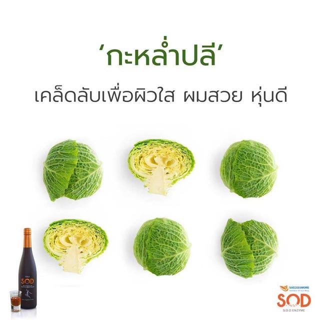 เอสโอดี.อาหารเสริมเป็นน้ำผลไม้ 6