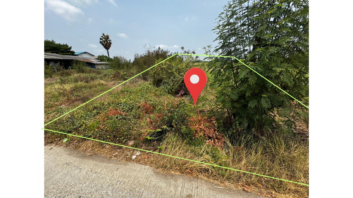 ขายที่ดิน 200 ตร.ว. อ.สามโก้ จ.อ่างทอง 5