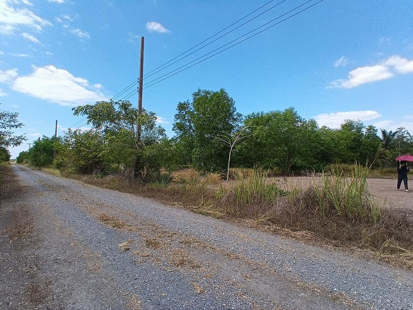 ขายที่ดิน 3 ไร่ คลอง12 ซอยสวนเกษตร2 ต.นพรัตน์ หนองเสือ ปทุมธานี 5