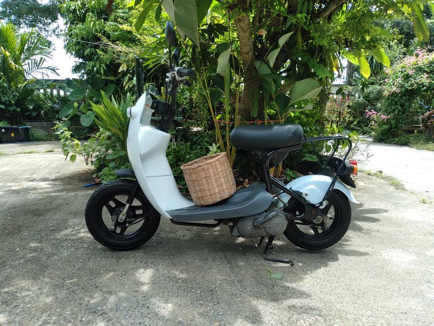 รถป๊อป Suzuki Choinori 50 cc.4จังหวะ