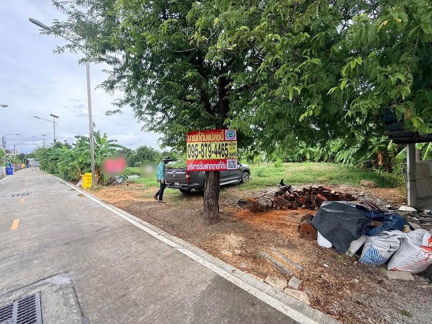 ขายด่วนที่ดิน 350 ตรว ติดถนนคอนกรีต ซ.จตุโชคชัย 3/4 บางพลี สมุทรปราการ 1
