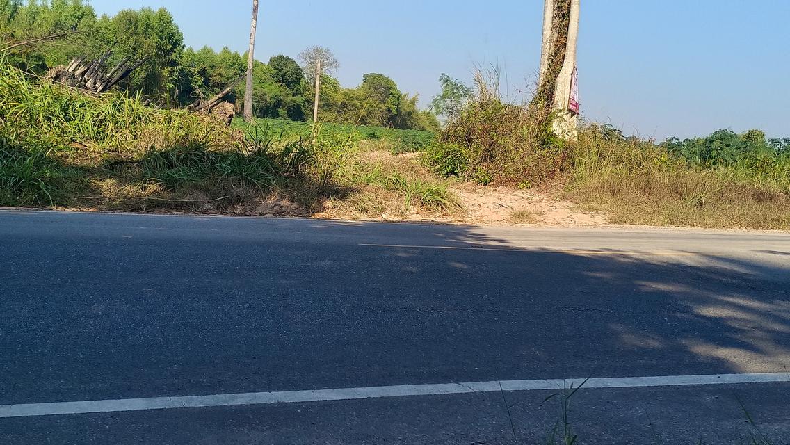 ขายที่ดินเขต อ. เมืองอุดรธานี 6
