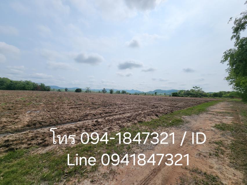 ที่ดิน 20