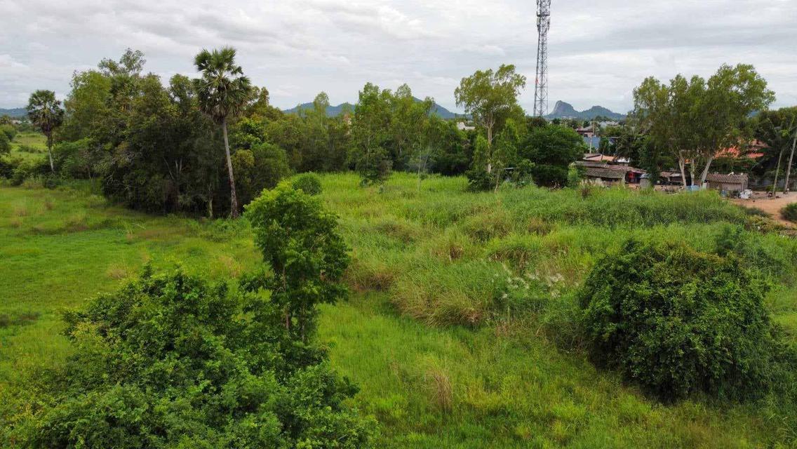 ที่ดินว่างเปล่า 8