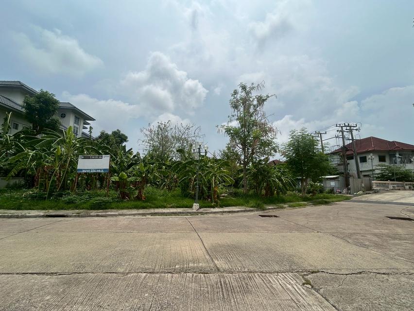 ที่ดินจัดสรร