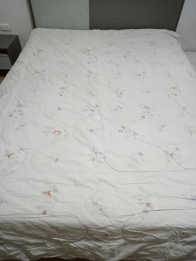 ผ้านวม 6 ฟุต มือสอง 290 บาท รูปที่ 3