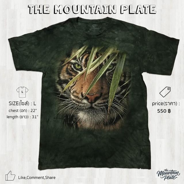 เสื้อยืด The Mountain