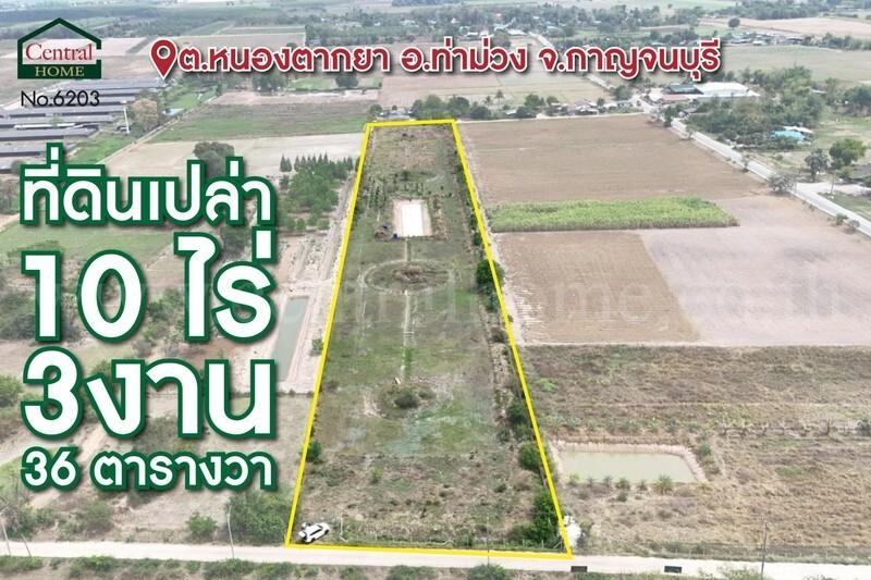 ที่ดินเปล่า 10-3-36 ไร่ ท่าม่วง กาญจนบุรี ปลูกต้นสักทองกว่า 500 ต้น 1