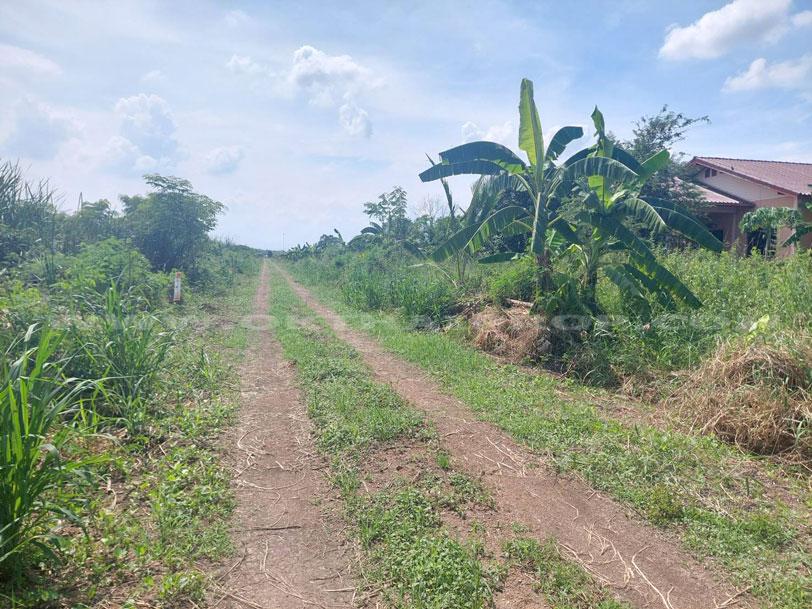 ที่ดินจัดสรรล็อคที่ 10 ถ.346 ต.หน้าไม้ อ.ลาดหลุมแก้ว จ.ปทุมธานี 5