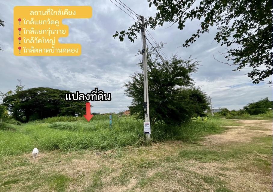 ที่ดินจังหวัดพิษณุโลก 4
