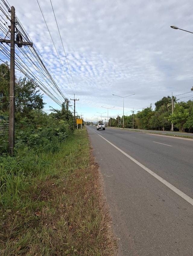 ขายที่ดิน58ไร่ติดถนนใหญ่ใกล้ ร.พ.เอกชน อ.เมืองนครพนม 4