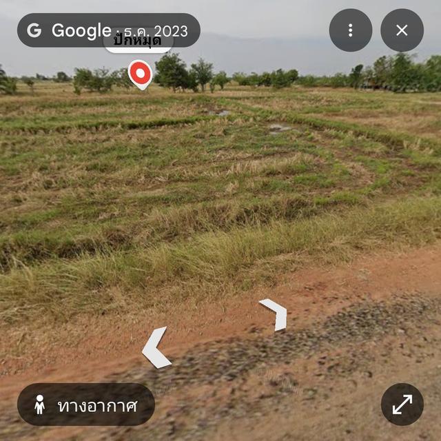 8ไร่43ตรว. เส้น290 นครราชสีมา อ.โนนสูง 4