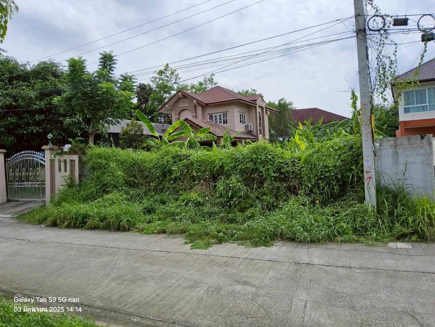 ขายที่ดินพุทธมณฑลสายสอง 113 ตรว ติดถนนคอนกรีตสาธารณะ ถมแล้ว  ซ.11 ภาษีเจริญ กทม. 2