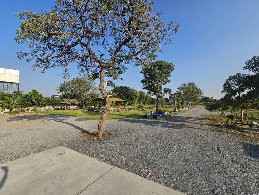 ให้เช่าที่ดินเปล่า นนทบุรี ติดถนนนครอินทร์ เชิงสะพานพระราม 5 ถนนทางเข้ากว้าง 6 เมตร 7