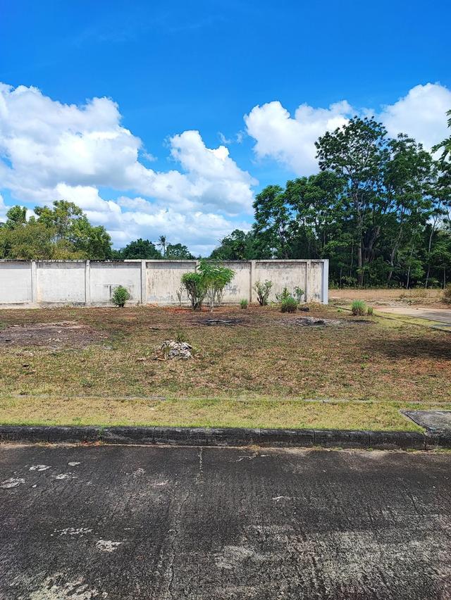 ที่ดินเปล่าในโครงการ  พร้อมสร้างบ้าน 3