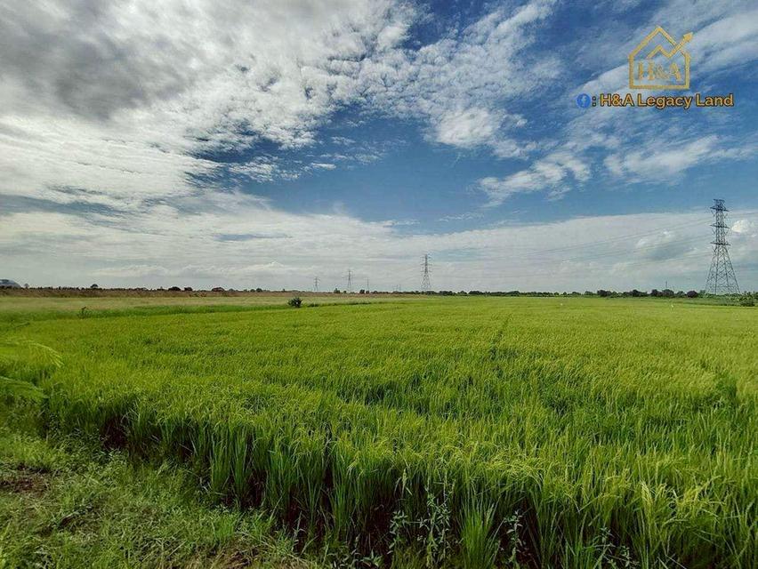  ขายที่ดินเปล่าแปลงสวย ติดถนนใหญ่ อย.3006 ลาดบัวหลวง–ไม้ตรา อ.ลาดบัวหลวง จ.พระนครศรีอยุธยา 30-3-74 ไร่ 6