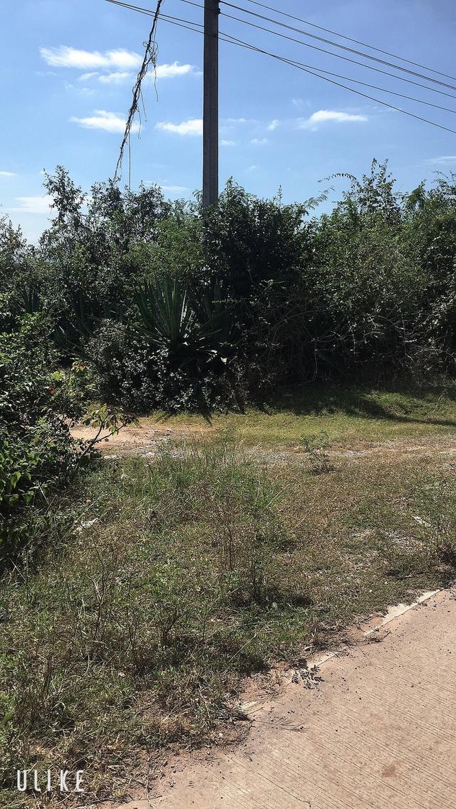 ที่ดินเปล่า บ้านกุดน้อย 3 งาน 75 ตารางวา อ.สีคิ้ว จ.นครราชสีมา 8