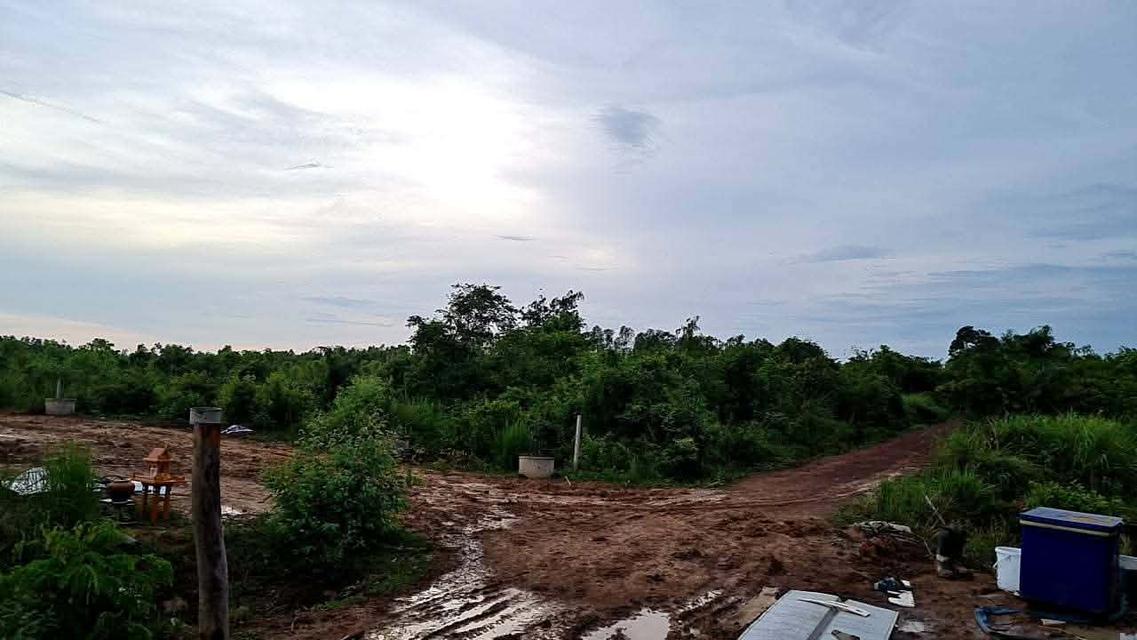 ขายที่ดินไฮหย่องพร้อมสิ่งปลูกสร้าง 98 ไร่ ติดคลอง ใกล้วัดหนองนกกด-2กม. อ.พังโคน จ.สกลนคร 3