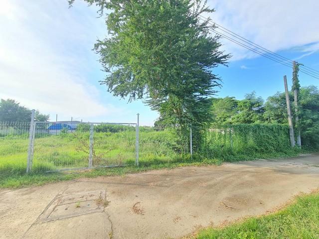 ขายที่ดินฝั่งทะเล บางเสร่ อยู่ในแหล่งชุมชน ใกล้สาธารณูปโภค ตลาด แหละท่องเที่ยว 8