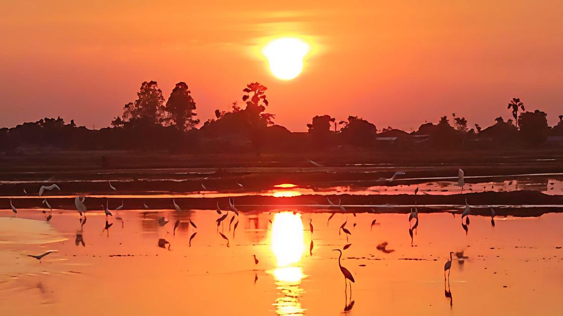 ภาพถ่ายผลงานศิลปินPAWICH THAI