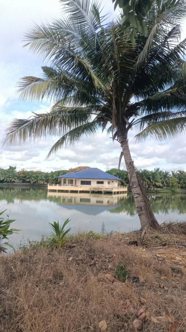 รูป ที่ดิน นครปฐม  สวย พร้อม สิ่งปลูกสร้าง บ้านทรงไทย บ้านกลางน้ำ แพริมน้ำ สวนผลไม้ บ่อปลา ขนาดใหญ่ โทร 0814253207 4