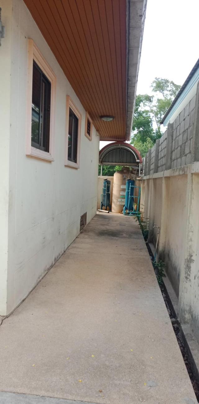 บ้านเดียว 1 ชั้น ไกล้ถนน รอบเมืองเชียงใหม่ หนองผึ้ง, สารภี , เชียงใหม่ 9
