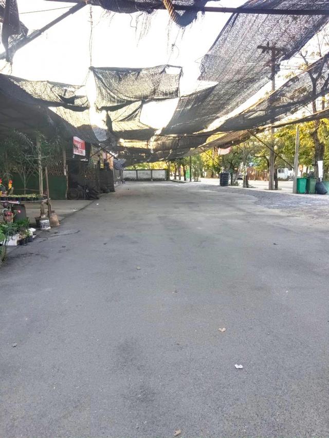 ขายที่ดินแปลงใหญ่ ติดถนนบางระมาด ใกล้ตลาดคลองลัดมะยม เหมาะพัฒนาโครงการที่อยู่อาศัยและเชิงพาณิชย์ 4