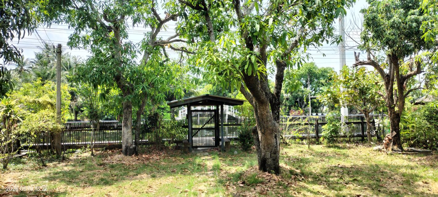 ขายที่ดินพร้อมบ้าน ริมคลองดำเนินสะดวก ตำบลหลักสาม อำเภอบ้านแพ้ว จังหวัดสมุทรสาคร 5