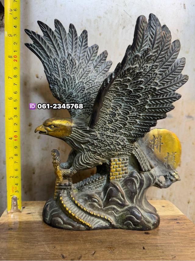 🔥พญาอินทรีย์ทองเหลือง  2