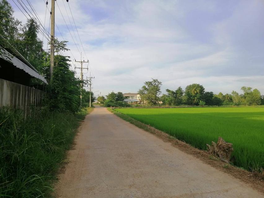 ขายที่ดินจังหวัดนครสวรรค์ ตำบลมหาโพธิ์ 6