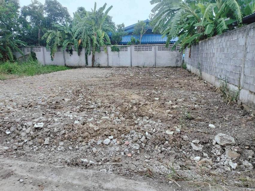 ขายที่ดิน 54 ตรว ติดถนนคอนกรีตสาธารณะ ถมแล้ว หมู่บ้านดินอุดม 7 บางบัวทอง นนทบุรี 8